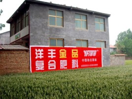 木里如何让墙体广告展现最大化效果