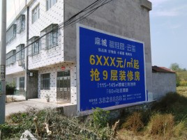 木里墙体广告质量分析