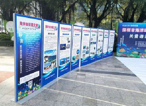 木里KT板的种类和知识。